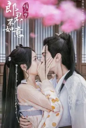 《郎君不如意》原著小说《太子妃升职记2：公主上嫁记》