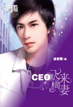 CEO的飛來橫妻