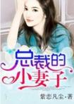 总裁的小妻子