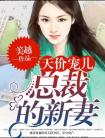 天价宠儿总裁的新妻
