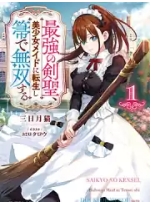 最强剑圣转生成美少女女仆用扫帚大展身手